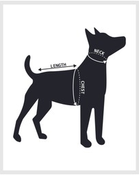 Mog & Bone - Dog Puffer Jacket- Black