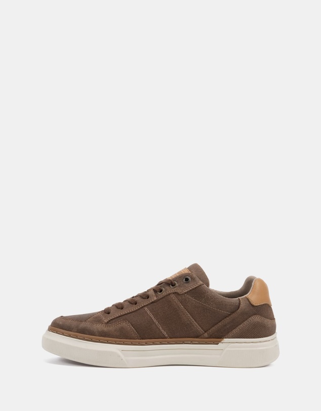 Wild Rhino - Trusted Brown