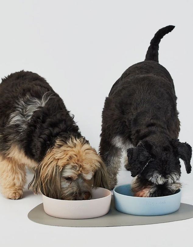 Lilly + Dash - Dog Cat Asymmetric Placemat