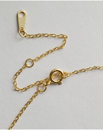 Native Sol - Pisces Star Sign Pendant Necklace