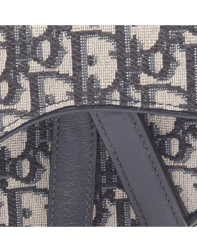 Pre-Loved by Azura Reborn - Pre-Loved Mini Oblique Canvas Saddle Bag