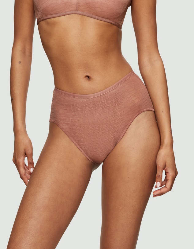 Triumph - Signature Sheer Maxi Brief