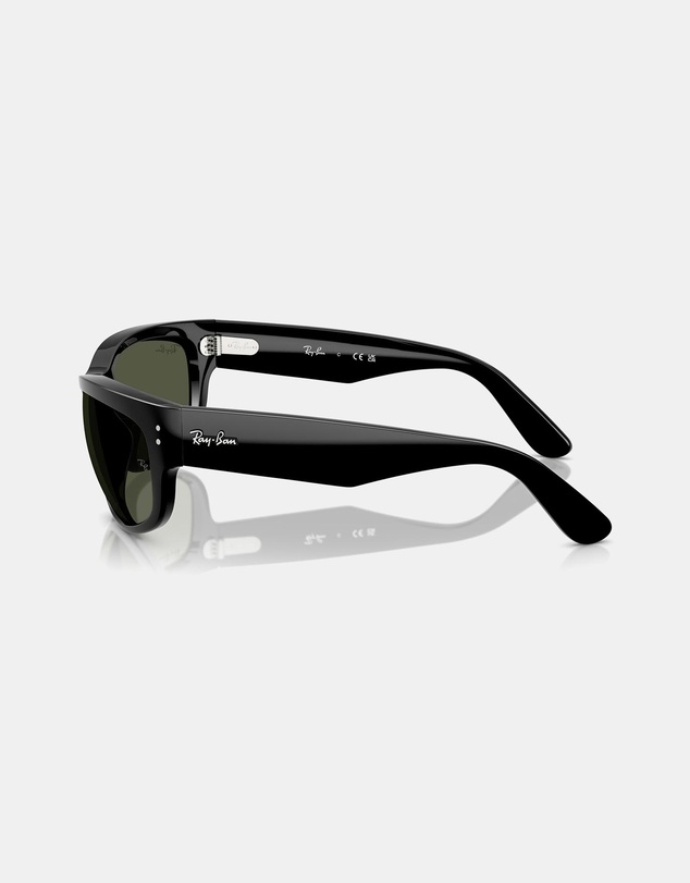 Ray-Ban - RB2289