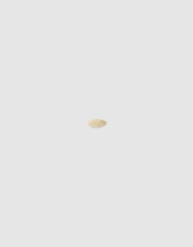MAC - 239S Eye Shader Brush