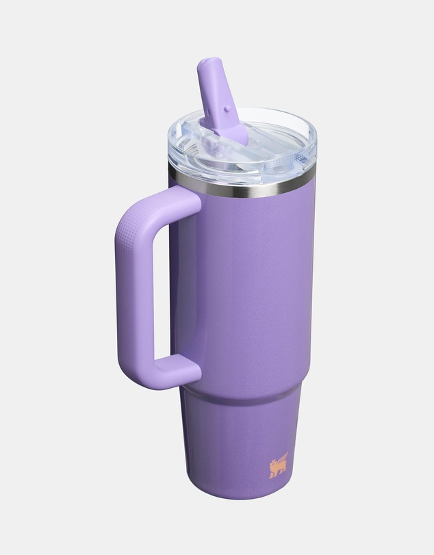 Stanley 1913 - Quencher Protour Flip Straw Tumbler 30Oz