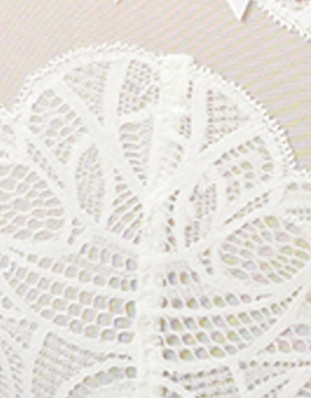 Sans Complexe - Ariane Lace Brazilian Cut Brief