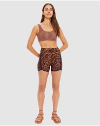 The Upside - Solaris Harley Scoop Bra