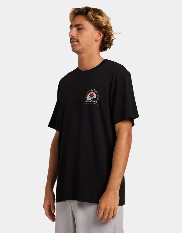 Billabong - Mens Sun Down Adiv Premium T-Shirt