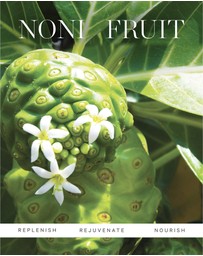 KORA Organics - Noni Glow Face Oil 10mL