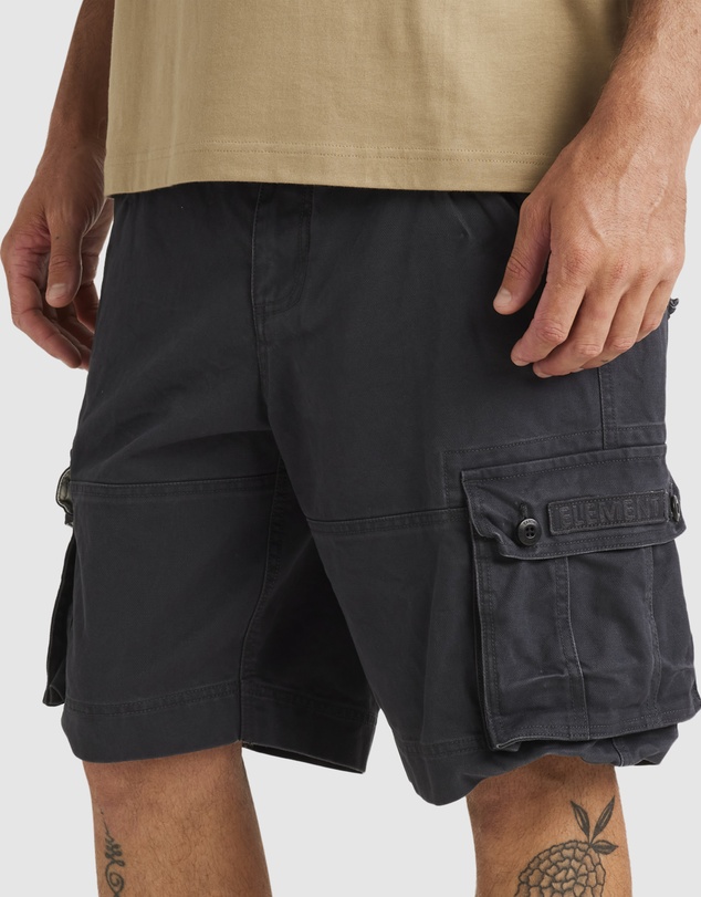 Element - Source Cargo Shorts