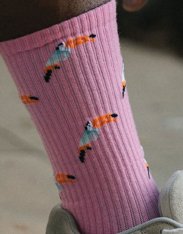 Swanky Socks - Pink Wings of Rio