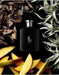 Polo Ralph Lauren - Polo Black EDT 75ml