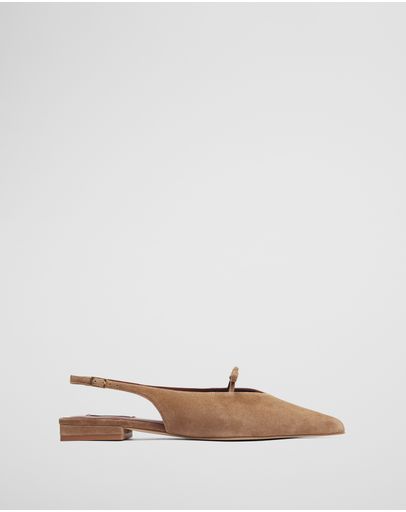 Camel