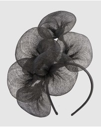 Max Alexander - Large Lilly Black Flower Fascinator