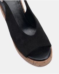 Novo - Belief Wedges