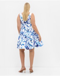 City Chic - Andrea Fit & Flare Print Dress