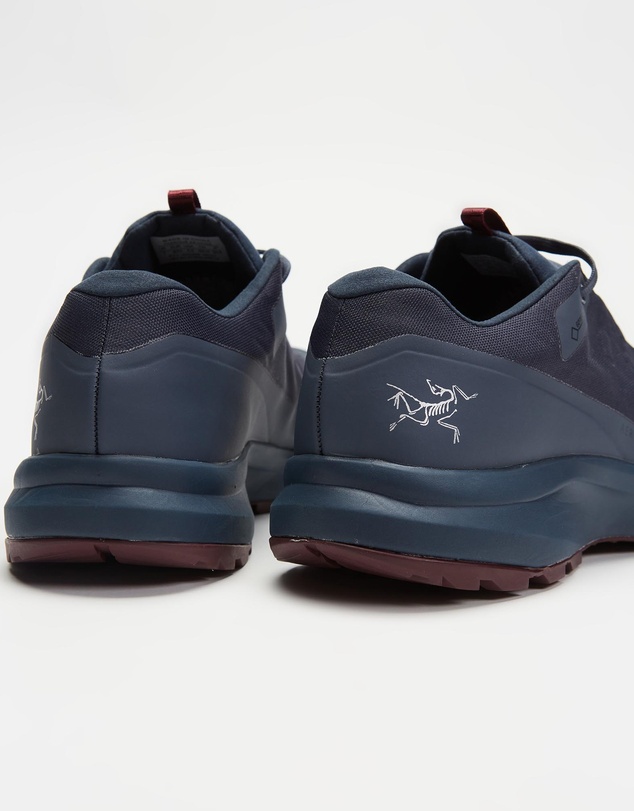 Arc'teryx - Aerios FL GTX Shoes - Women's