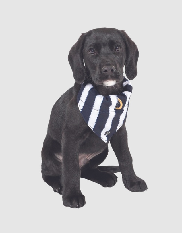 Mog & Bone - Dog Bandana - Navy Hamptons Stripe Print