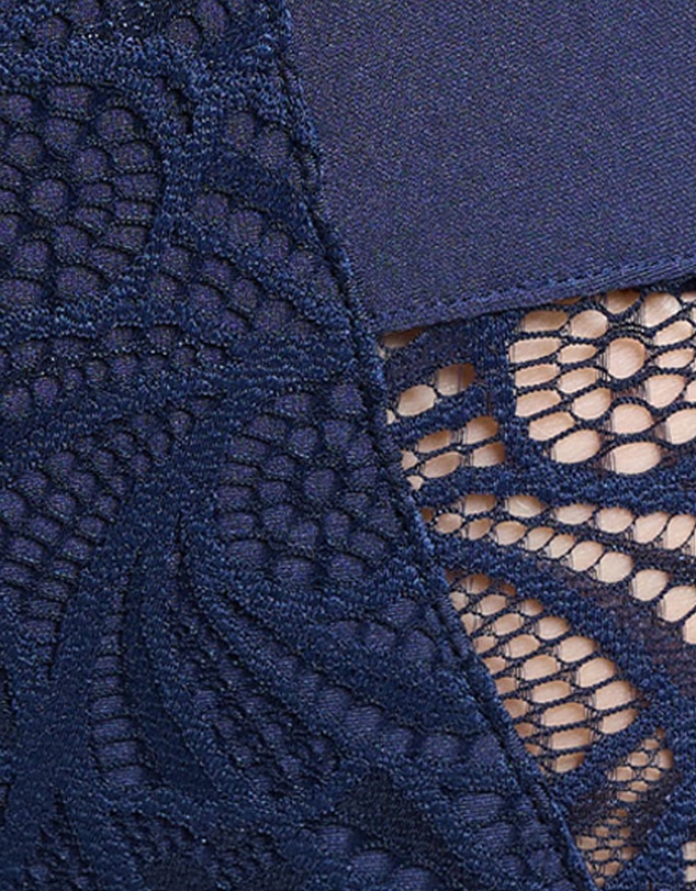 Sans Complexe - Ariane Lace & Microfiber High Waist Brief