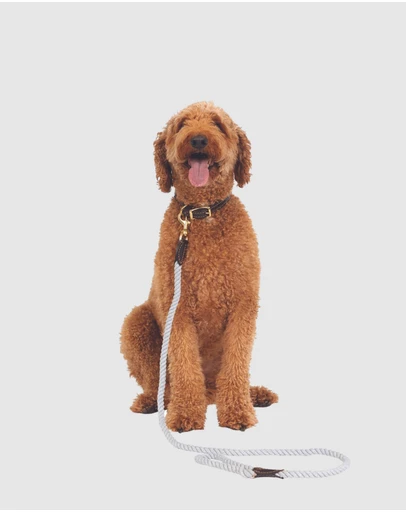 Mog & Bone - Classic Rope Lead (1.2m) - Grey
