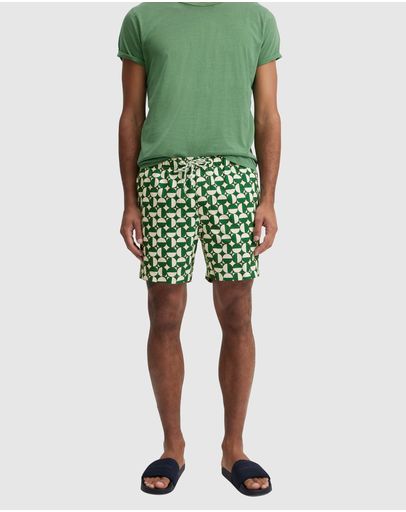 Palm Green