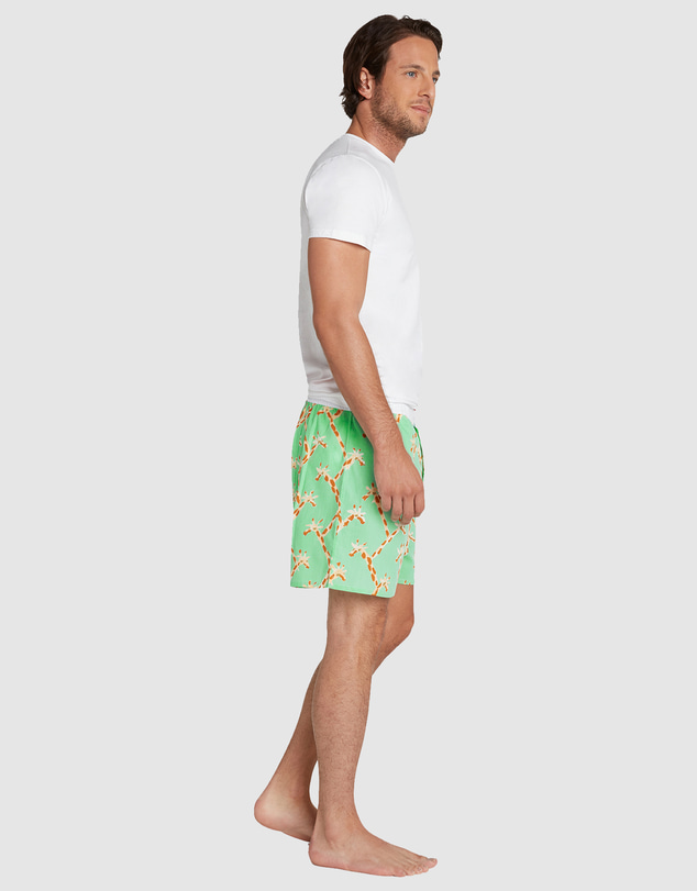 Sant And Abel - Giraffe Boxer Shorts
