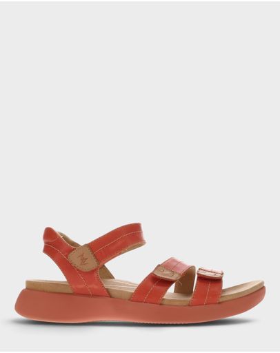 Terracotta