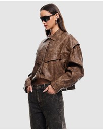Lioness - Hailey Bomber