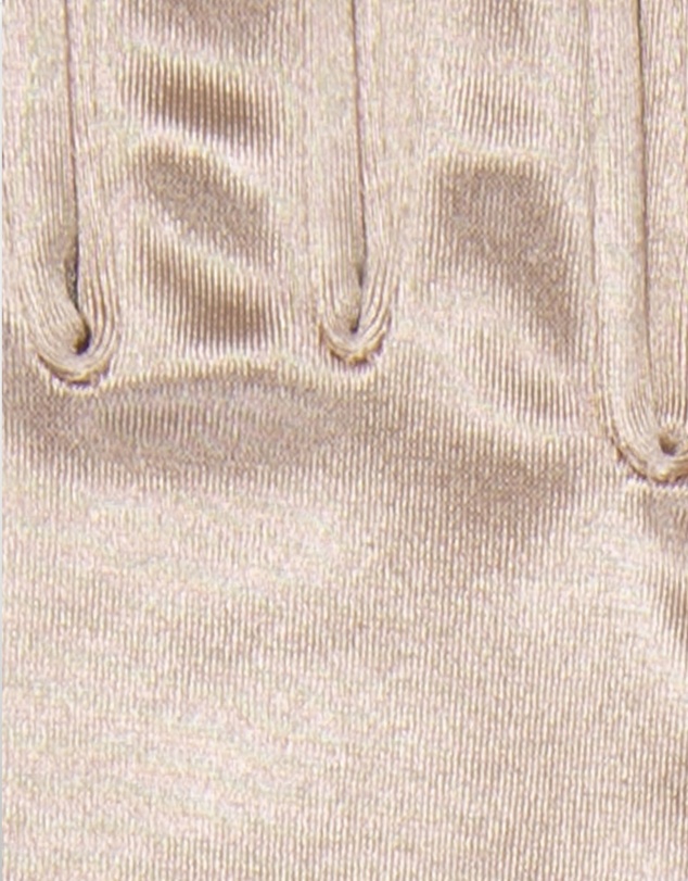 DENTS - Bella Long Opera Satin Gloves