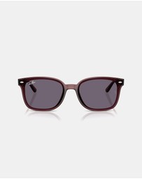 Ray-Ban - RB4461D