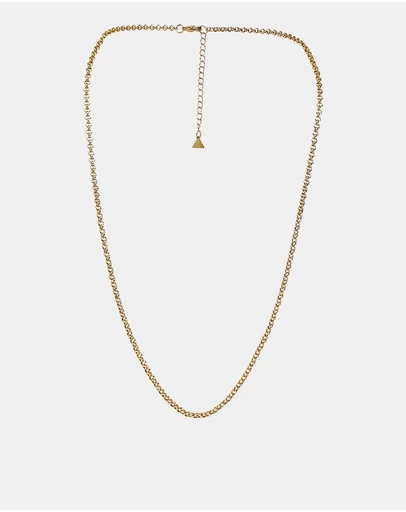 ALDO - Demian Necklace