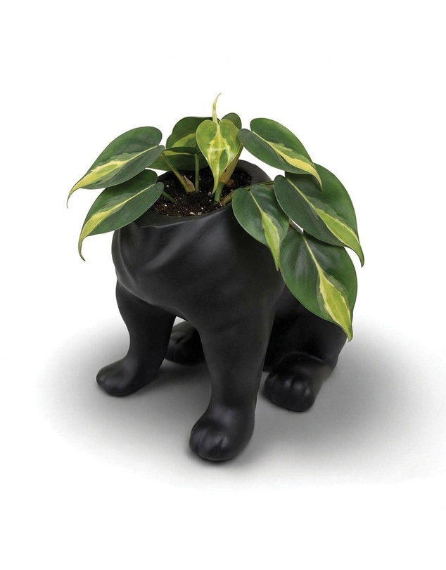 Urban Attitude - Urban Attitude Maggie Bulldog Planter - Matte Black