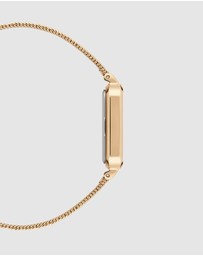 Daniel Wellington - Quadro Evergold