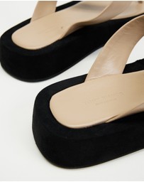 Tony Bianco - Ives - ICONIC EXCLUSIVE