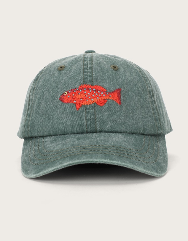 Pallion Point - Coral Trout Fish Lid
