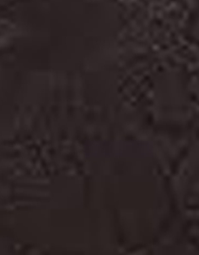 Natori - Jacquard Lace Wired Contour T-Shirt Bra