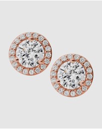 Michael Kors - Premium Rose Gold-Tone Earring