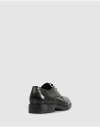 Brando - Sommerville Casual Lace ups