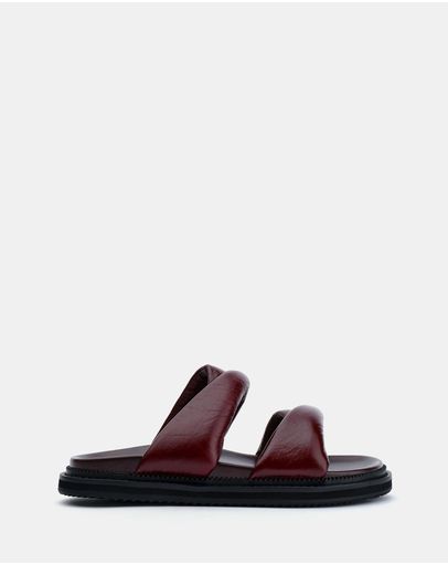 Burgundy Oily