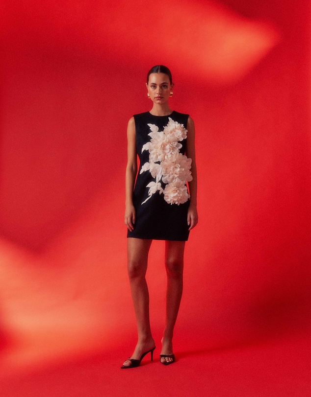 Elliatt - Zahara Mini Dress