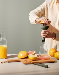 Eva Solo - Green Tool Citrus Press