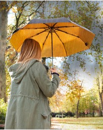 Suck UK - Umbrella Black & Gold