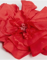 Morgan & Taylor - Cindy Fascinator
