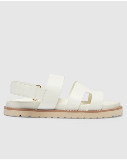 Sandler - Daisy