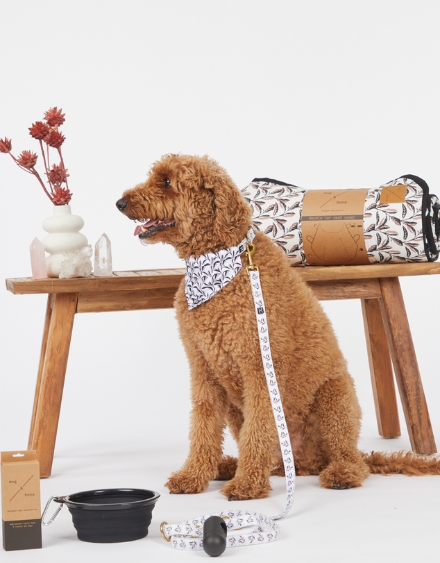 Mog & Bone - Multi-Function Hemp Dog Lead - Shadow Quartz