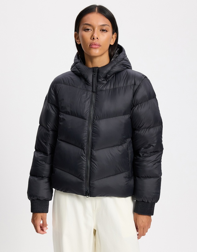 Patagonia - Sindit Hoodie Jacket