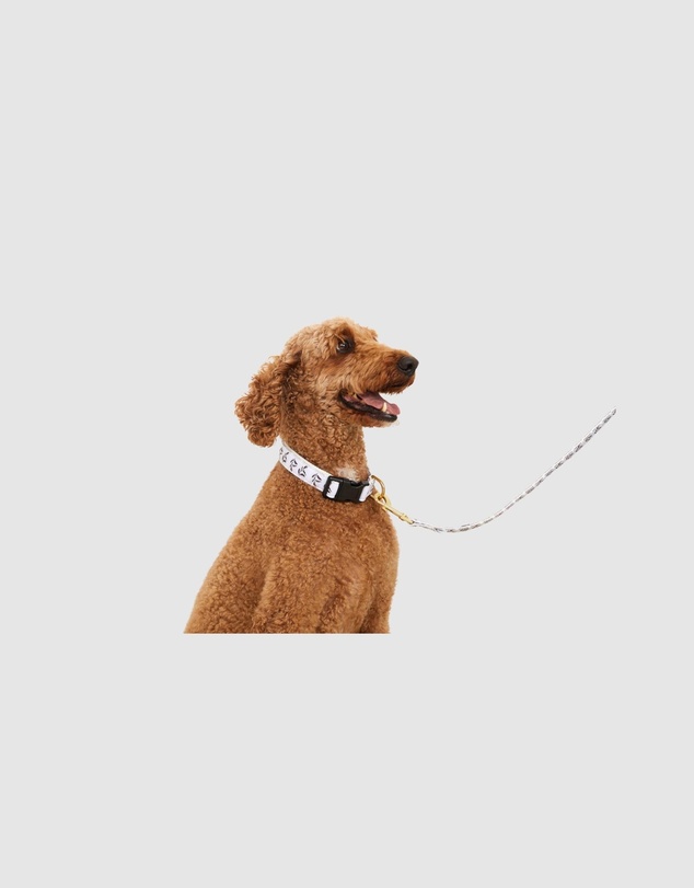 Mog & Bone - Multi-Function Hemp Dog Lead - Shadow Quartz