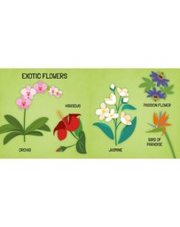 Sassi - Learn all about The Flowers 3D Puzzle and Book Set 40 Pieces