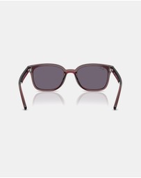 Ray-Ban - RB4461D