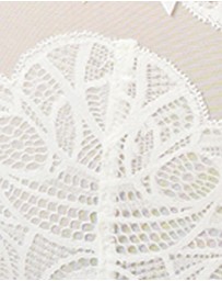 Sans Complexe - Ariane Lace Brazilian Cut Brief